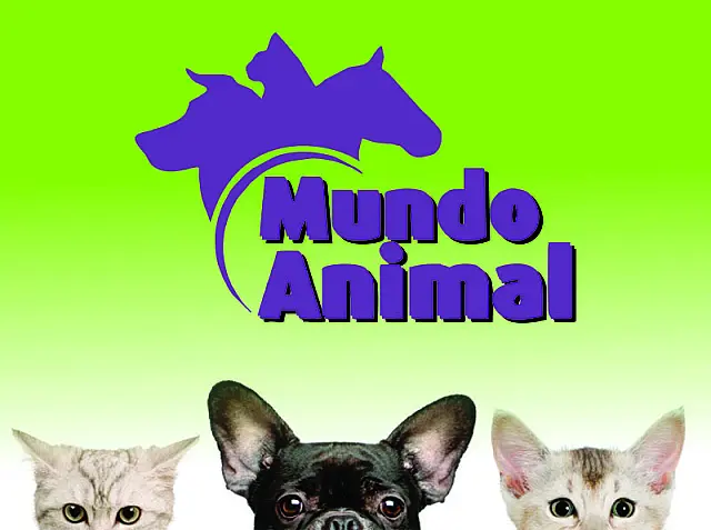 Mundo Animal sorteia brindes especiais para o seu bichinho de estimação