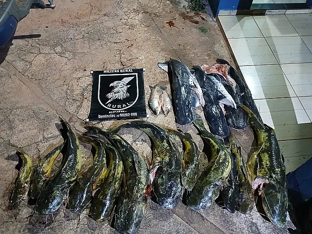 Operação Piracema: Pescadores são multados pesca ilegal em Aquidauana
