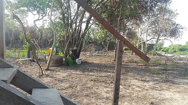 Fazendeira é multada em R$ 5 mil por degradar margens do rio Paraguai Mirim