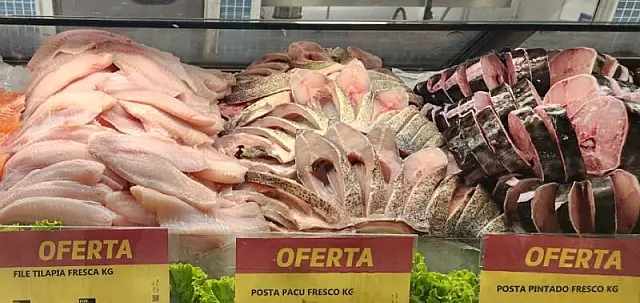 Campeã de consumo, Tilápia é a espécie preferida durante a Quaresma