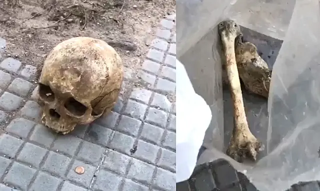 Ossada humana é encontrada ao lado de escola