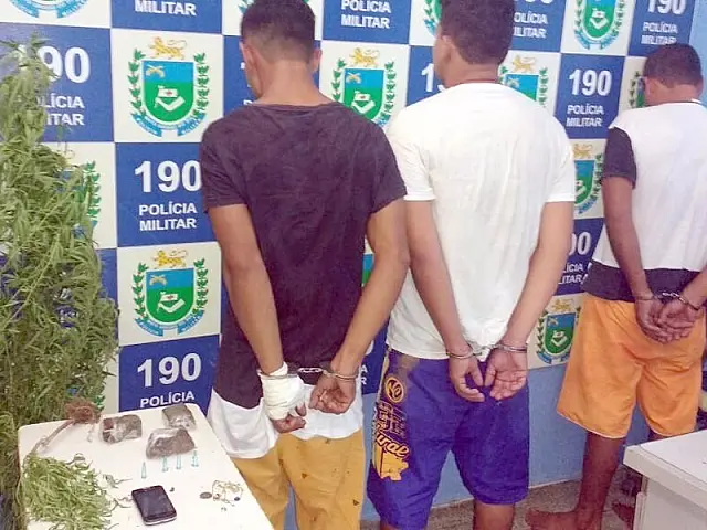 PM fecha boca de fumo com pés de maconha, prende 2 e captura foragido