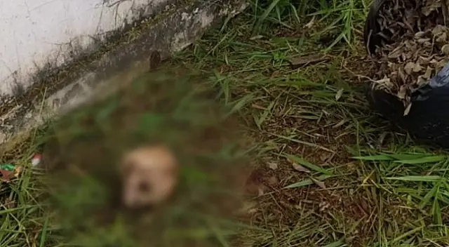 Crânio de criança é encontrado em Campo Grande