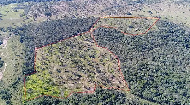 PMA autua fazendeiro em R$ 27 mil por desmatamento ilegal de 27 hectares