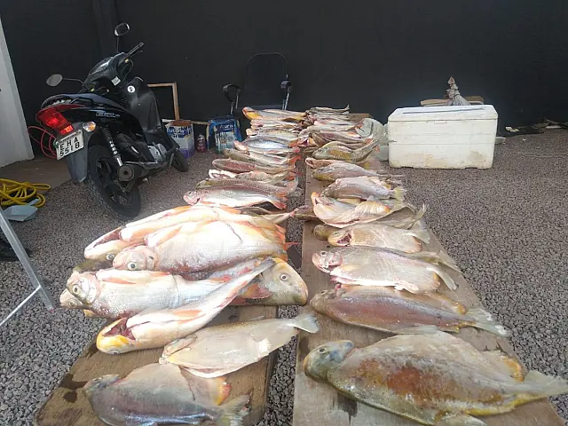 Paranaense é preso prende e multado em R$ 2 mil por pesca e transporte ilegal