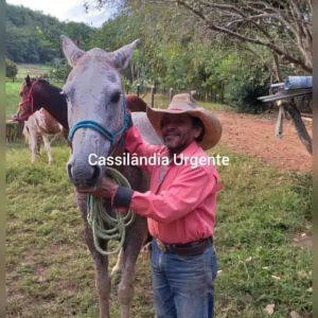 Ao tentar laçar bezerro, peão de fazenda bate cabeça em árvore e morre