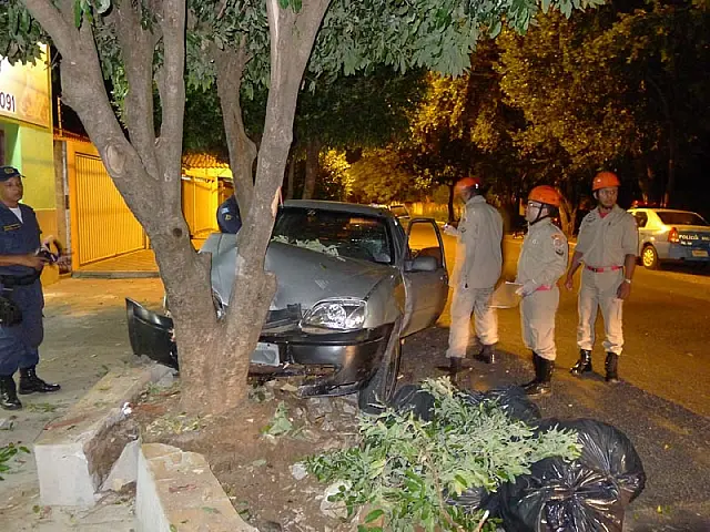 Mulher perde controle de caminhonete e bate em árvore