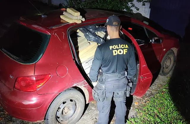 'Só cabia o motorista': DOF intercepta Peugeot lotado de maconha