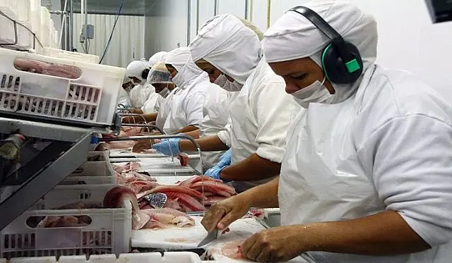 MS registra acumulado de mais de 44 mil vagas de emprego no ano