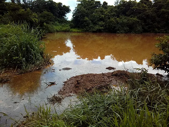 Fazendeiro é multado por avermelhar águas do Rio Formoso e interditar balneários