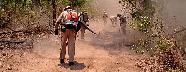 Incêndio assola reserva na serra do Amolar e bombeiros mantêm combate