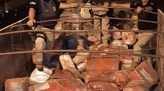 Em maior apreensão do ano, PRF descobre mais de 7 toneladas de maconha em carga de milho