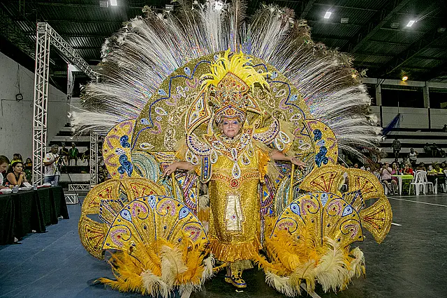 Carnaval de Corumbá vai distribuir até R$ 85 mil em prêmios para a melhor fantasia