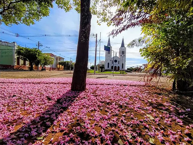 Clima seco traz perigo à saúde e deve aumentar notificações de Covid-19