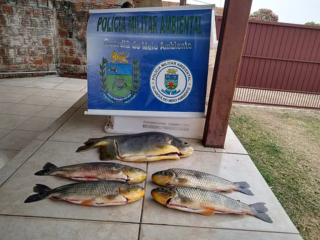 Dois infratores são autuados por pescado acima da cota permitida