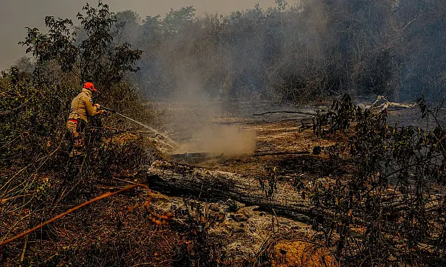 Fiocruz divulga análise sobre os impactos das queimadas no Pantanal