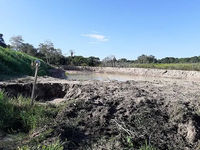 Dono de chácara é autuado em R$ 5 mil após degradar matas ciliares em Anastácio