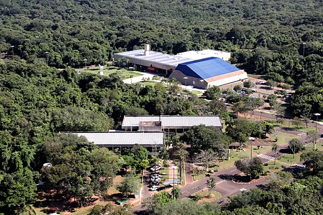 Mato Grosso do Sul é o estado mais arborizado do país, aponta IBGE