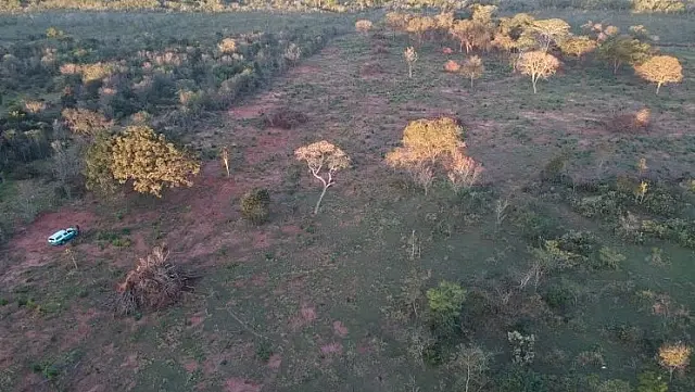 Fazendeiro é multado em R$ 40 mil por desmatar 8 hectares de Mata Atlântica