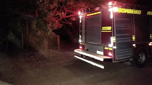 Bombeiros resgatam animais de incêndio em residência