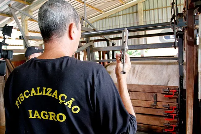 Iagro publica calendário oficial de vacinação contra febre aftosa em MS