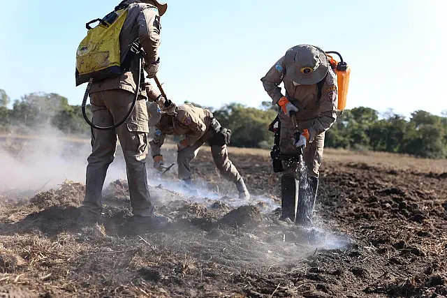 Bombeiros de MS combatem incêndios no Pantanal