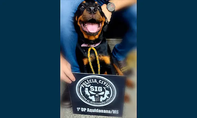 Polícia Civil de Aquidauana localiza rottweiler furtado e indicia suspeito