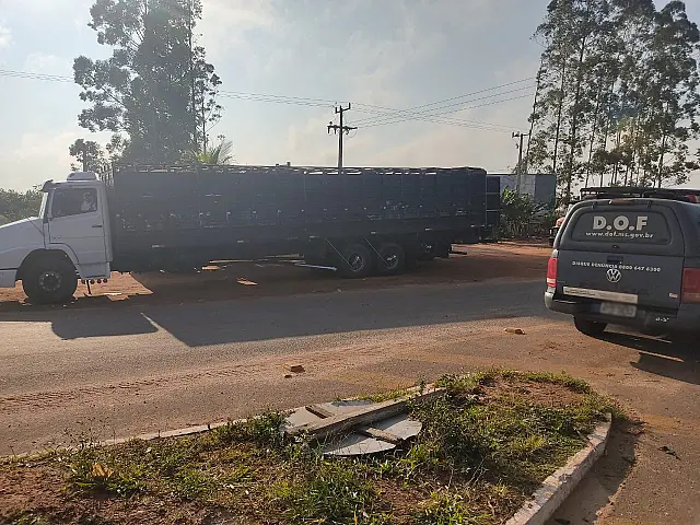 DOF apreende três caminhões carregados com 120 bois trazidos do Paraguai