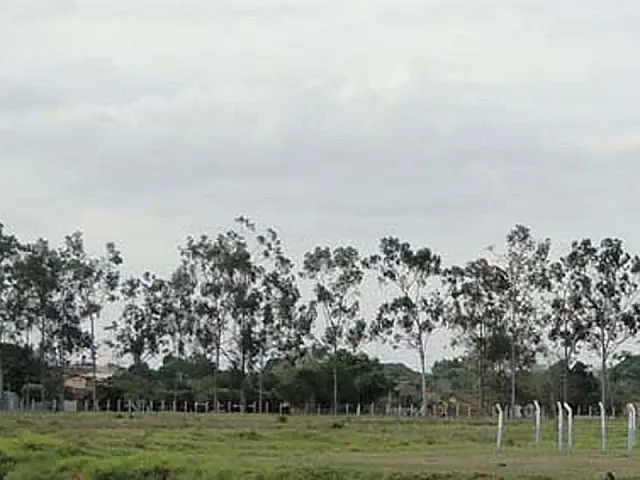 Incêndio consome quatro hectares de vegetação no 9º BE Cmb