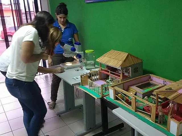 Biblioteca Isaías Paim recebe exposição itinerante sobre dengue, zika vírus e chikungunya