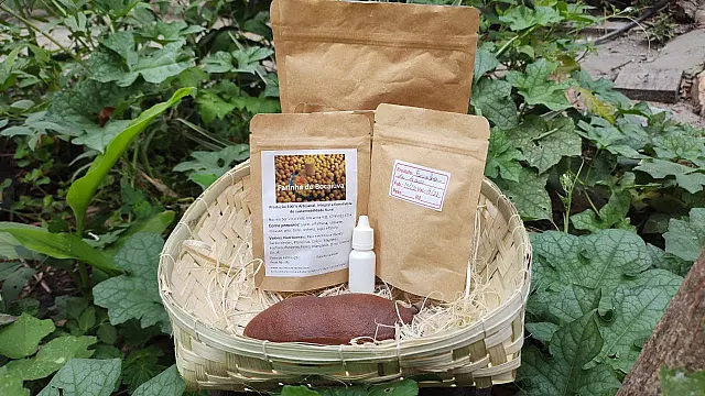 Projeto incentiva comercialização de produtos do agroextrativismo do Cerrado e Pantanal