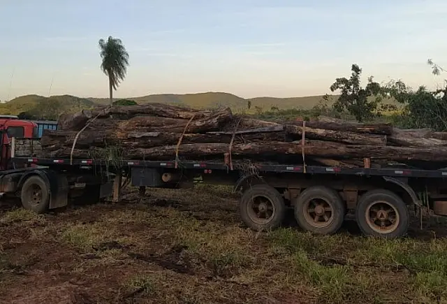 Motorista de carreta é multado por crime ambiental em Bonito