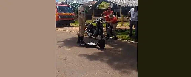 Cobra se esconde em Honda Biz e tenta atacar mãe e filho