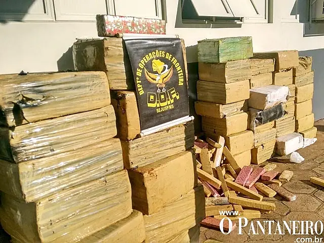 Em menos de 24 horas, DOF tira mais de 2 toneladas de maconha de circulação