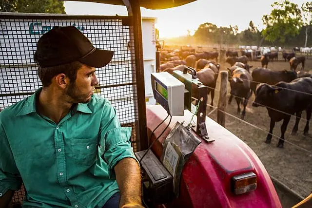 Com 2,1 mil novas vagas, agropecuária de MS gera empregos acima da média nacional