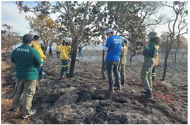 MS aplica curso de formação de peritos em incêndios florestais
