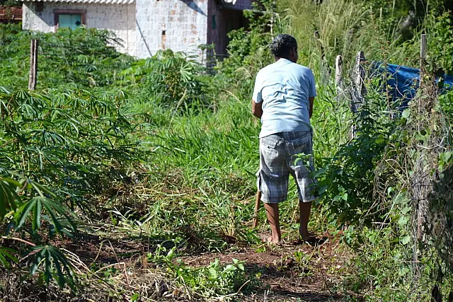 Fundado há quatro anos, Projeto Mão Amiga dá nova chance aos viciados e moradores de rua