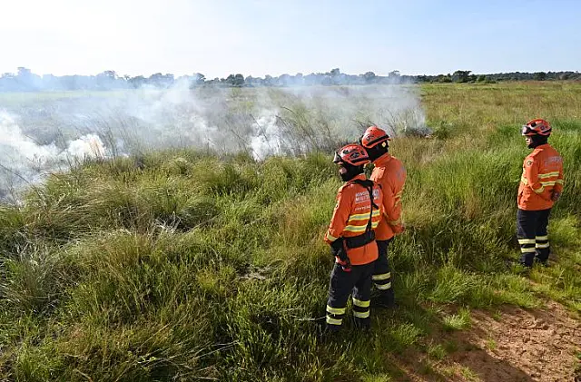 Pantanal recebe primeira queima prescrita para prevenção de incêndios