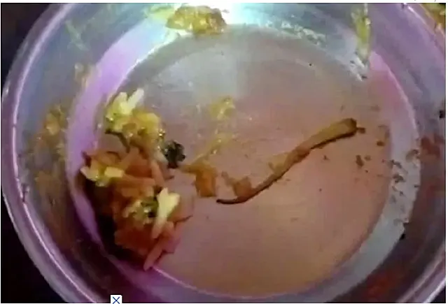 Homem vai parar no Hospital após achar rabo de lagarto em prato de restaurante