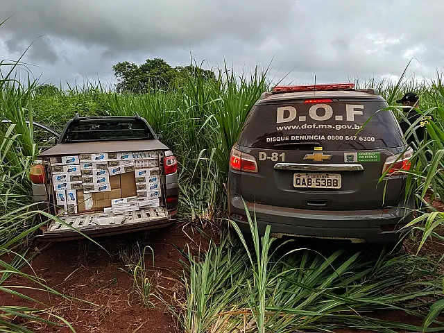 DOF apreende mais de 15 mil cigarros contrabandeados
