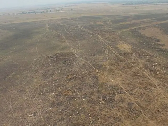 MPMS investiga incêndio que devastou 427 hectares no Pantanal de Corumbá