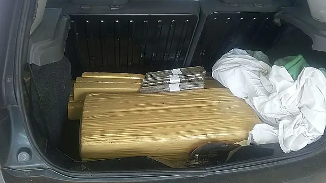 Casal é preso na BR-267 tentando levar 150 kg de maconha ao Rio de Janeiro