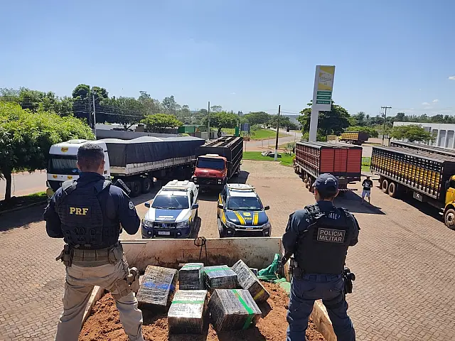 PRF e PM apreendem 12 toneladas de maconha em Jardim