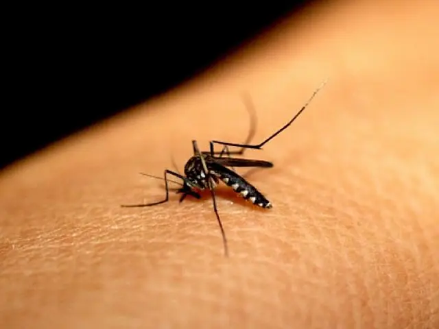 Sobe para 4 o número de casos suspeitos de febre chikungunya em Três Lagoas