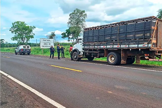 Quatro homens são presos em flagrante com gado furtado no Distrito de Taunay