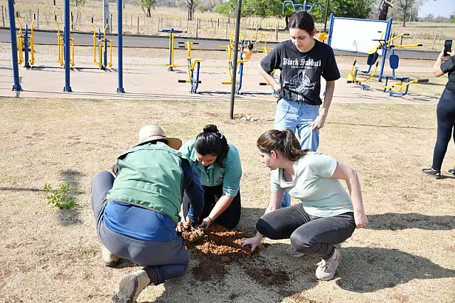 Mutirão planta 50 mudas de ipê em praça de Aquidauana