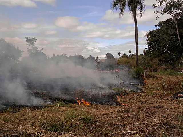 Corpo de Bombeiros alerta para aumento de incêndios