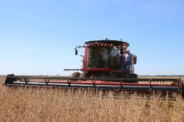 Agricultores de MS fecham janeiro com 14% da soja colhida e 8,4% do plantio do milho
