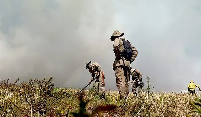 MS institui Plano de Manejo Integrado do Fogo para prevenir e combater incêndios florestais
