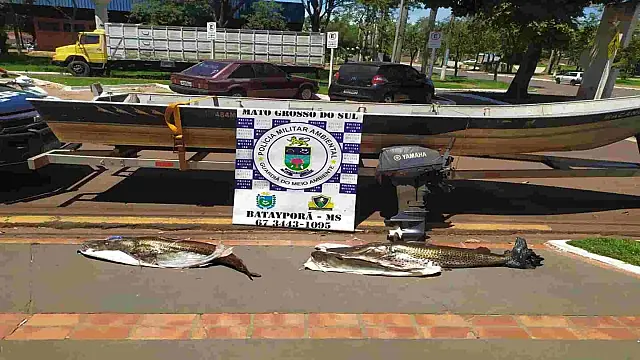 Homem ganha multa de R$ 1,6 mil por pescar 43 kg durante piracema em MS